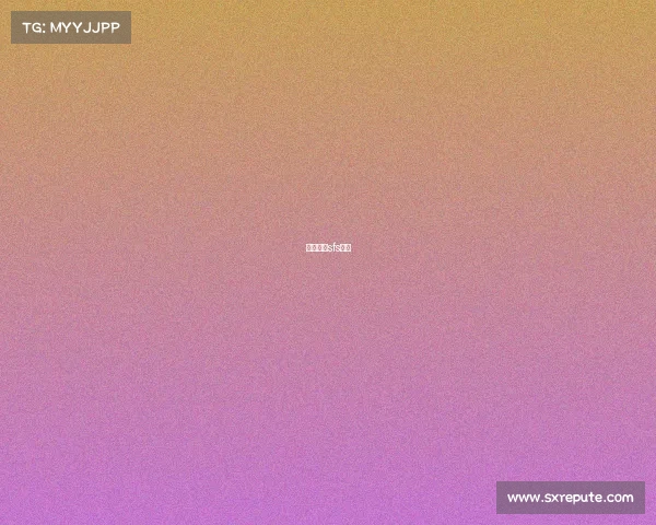 守望先锋sfs战队